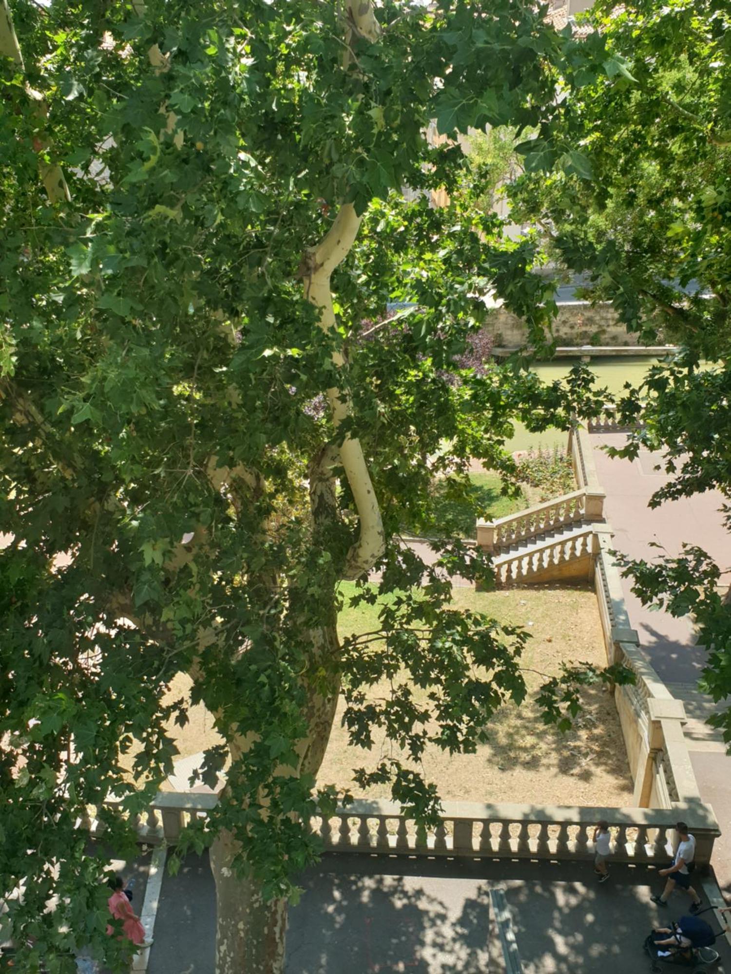 Via Narbona Apartment Luaran gambar